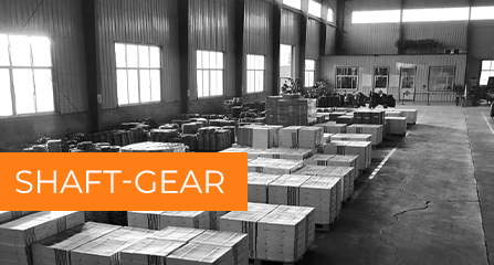 Shaft-Gear: 10+ лет стабильного качества в коммерческом транспорте