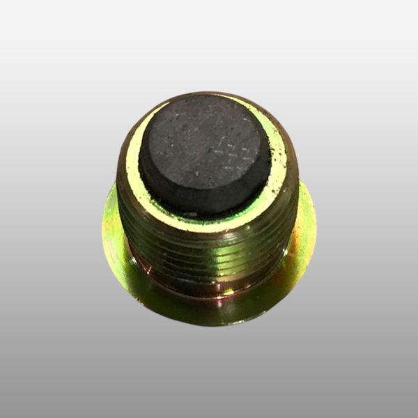 5DS50T-1701085 - Пробка с магнитом на КПП