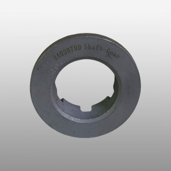 2402079D - Гайка редуктора хвостовика на Faw