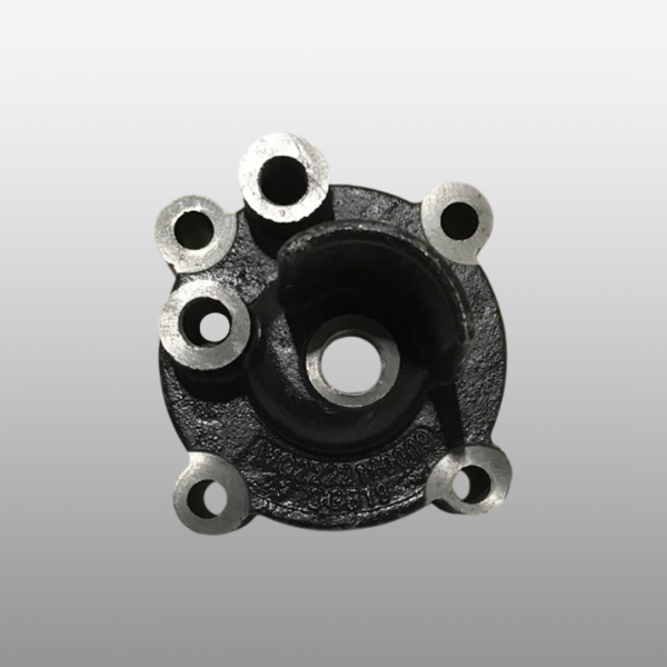 WG2222100009 - Корпус цилиндра