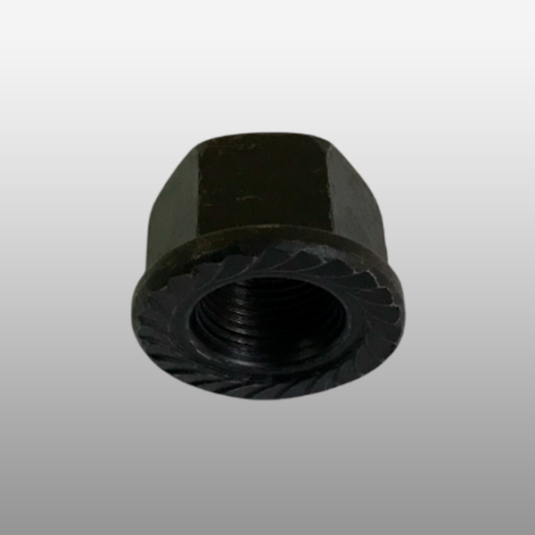 SZ952000867 - Гайка стремянки рессоры M18х1,5 на Shacman (Shaanxi) Х6000