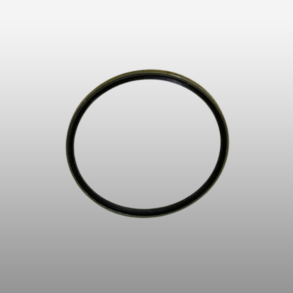 WG4005416508 - Кольцо уплотнительное поворотного кулака на Sitrak C7H Max