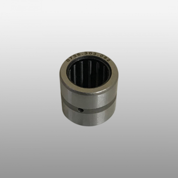 0735.303.082 - Подшипник игольчатый КПП 16х24х22 КПП ZF 12TX26, 16S