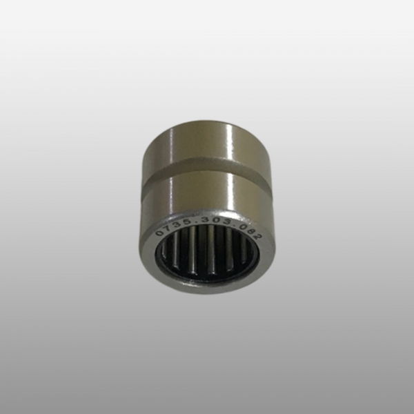 0735.303.082 - Подшипник игольчатый КПП 16х24х22 КПП ZF 12TX26, 16S