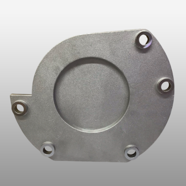 12JSD200T-1707080-1 - Заглушка на ретардер FHB400